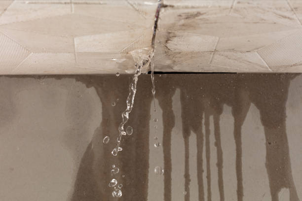 Professional Structural Drying technician working in Fullerton, PA